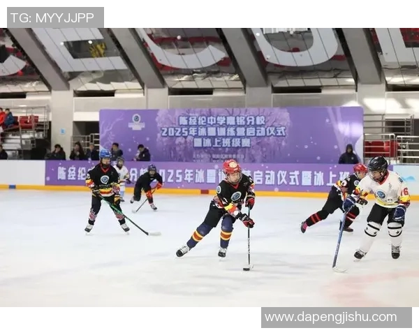 冰雪运动中的团队协作与配合表现分析及其对竞技成绩的影响