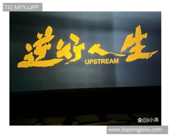 刘浩帆：从平凡到卓越的奋斗历程与人生启示