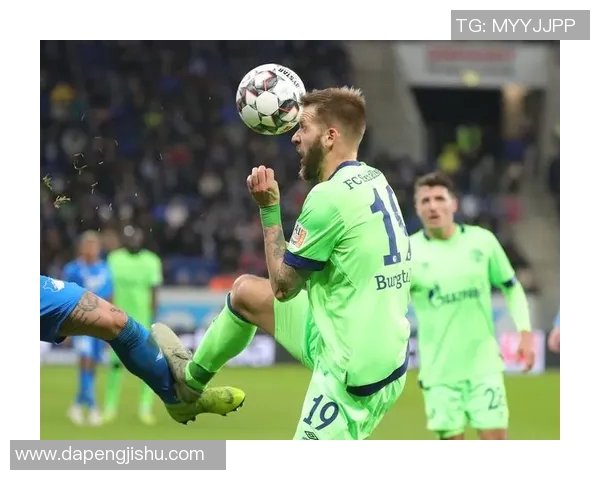 霍芬海姆横扫沙尔克04,豪取双线胜利 霍芬海姆横扫沙尔克04,豪取双线胜利